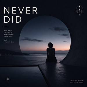 Never Did by testpilot1