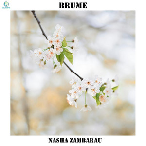 Brume by Nasha Zambarau