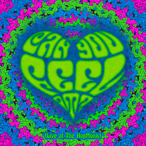 Can You Feel It (Live at The Hopmonk)