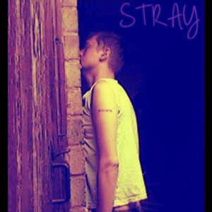 Andrew Kevin Newton - Stray (Live)