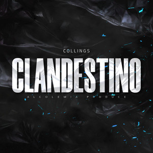 CLANDESTINO by Collings