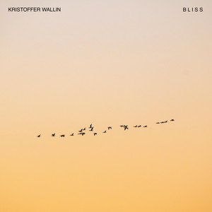Bliss by Kristoffer Wallin
