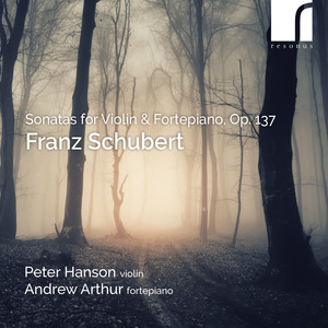 Violin Sonata No. 3 in G Minor, D. 408: II. Andante — Franz Schubert