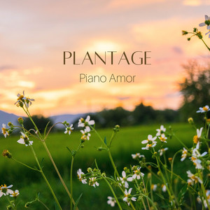 Plantage