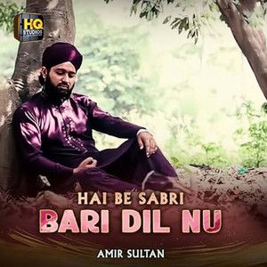 Hai Be Sabri Bari Dil Nu - Amir Sultan