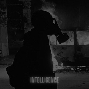 LiterallyMe - Intelligence