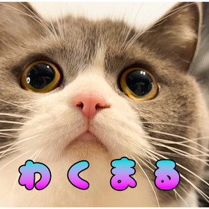 わくまる