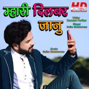 Salim Shekhawas - Mari Dilbar Janu