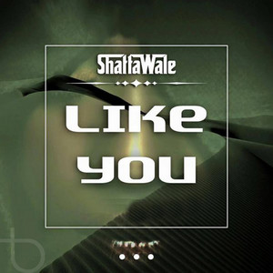 Shatta Wale - Like You