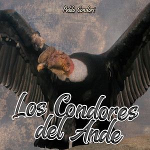 Los Condores del Ande by Pablo Condori