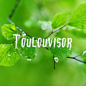 Bientot j'ai by Toulouvisor Album Cover