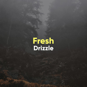 # 1 Album: Fresh Drizzle album
