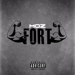 Fort by Moz