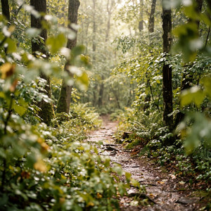 Everchanging Stream by Mogensen