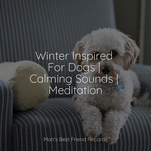 Winter Inspired For Dogs | Calming Sounds | Meditation album