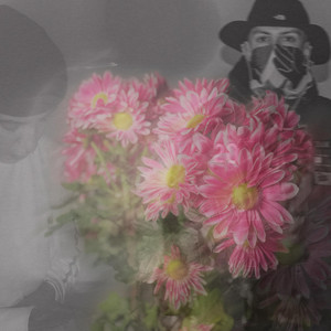 Flores Naturales by Shady Boy Pi, Daniella Holland