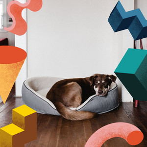 Music for Restless Puppies - Extraordinary Chill Out album