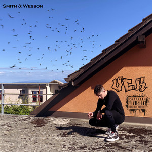 Portada de Smith & Wesson