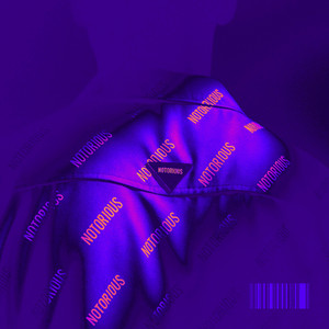 NOTORIOUS by VUCOR, Trifnam