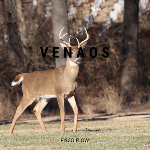 Venaos