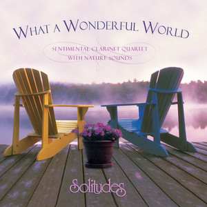 What a Wonderful World - Album by Dan Gibson's Solitudes | Spotify