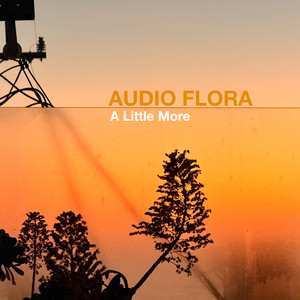 A Little More by Audio Flora