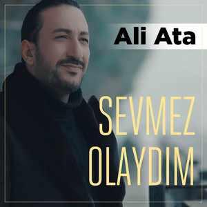 Ali Ata - Sevmez Olaydım