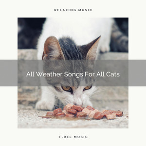 All Weather Songs For All Cats album