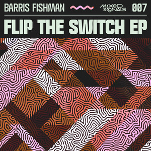 Flip The Switch by Barris Fishman