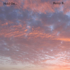 Hold On.. by Buzzy B