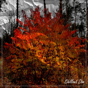 Autumn Melody