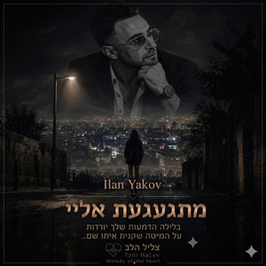 מתגעגת אליי by אילן יעקב