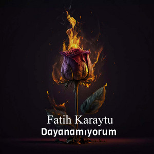 Fatih Karaytu - Dayanamıyorum