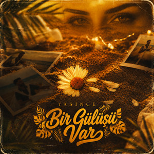 Bir Gülüşü Var