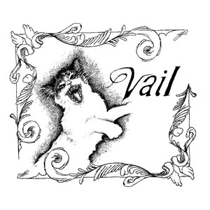 Pause Song by Vail