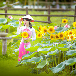 Trần Xuân Dương - Evening
