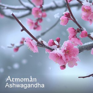 Ashwagandha by Atmoman