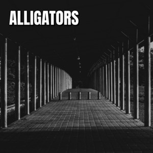 Time Flies by Alligators