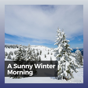 A Sunny Winter Morning album