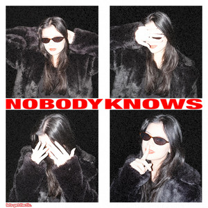 Nobody Knows by Vectic