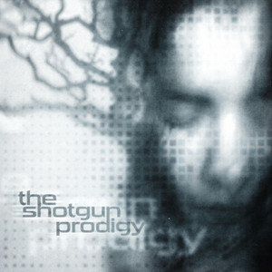 Further Away From Me by The Shotgun Prodigy