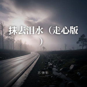 抹去泪水（走心版） by 苏倩影