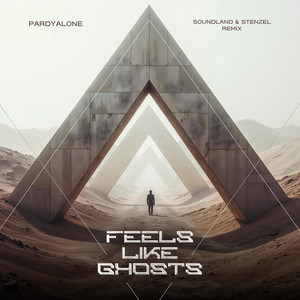 Feels Like Ghosts (Remix)