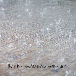 Perfect Rain Natural White Noise Meditation Vol. 2 album