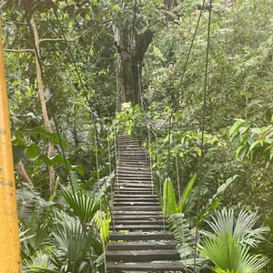 Rekha Mahbubani - Ceeep (Piano Version)