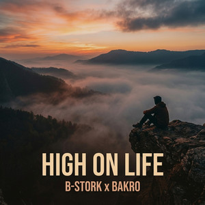 High on Life - Radio Mix by B-Stork, BAKRO