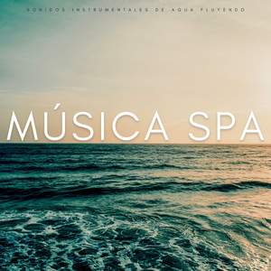 Música Spa: Sonidos Instrumentales De Agua Fluyendo album