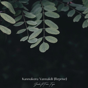 Favas Fazin - Kannukoru Vannakili (feat. Srinsha) [Reprise]