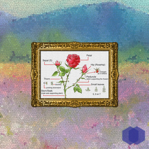 Jesea - Our Short Story