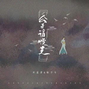 公子请慢走 - DJ版 by 宋孟君, 格子兮